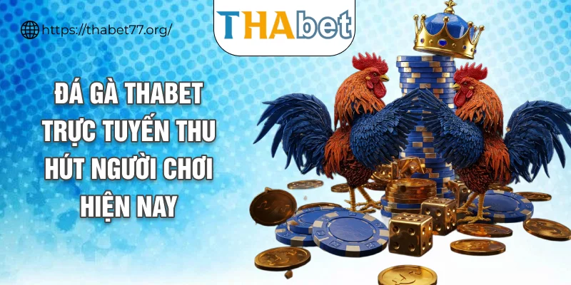 Đá gà THABET trực tuyến thu hút người chơi hiện nay