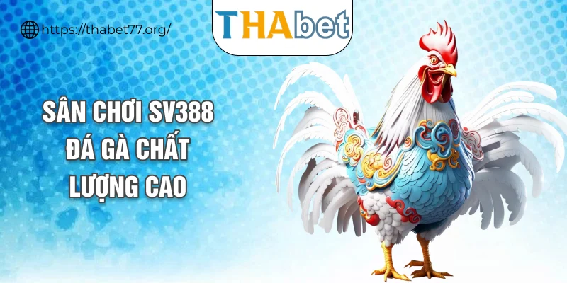 Sân chơi SV388 đá gà chất lượng cao