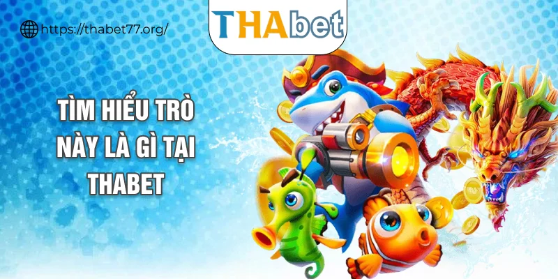 Tìm hiểu trò này là gì tại THABET