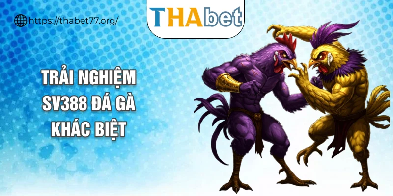 Trải nghiệm SV388 đá gà khác biệt