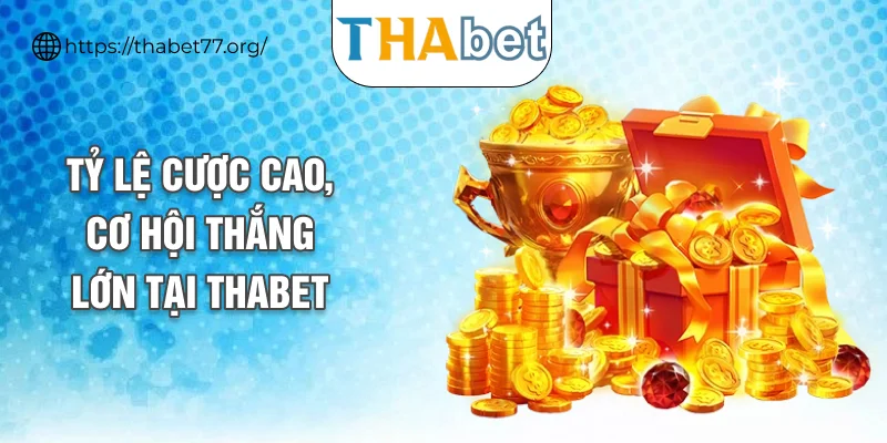 Tỷ lệ cược cao, cơ hội thắng lớn tại nhà cái